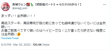 赤城ウェン　料理オタク